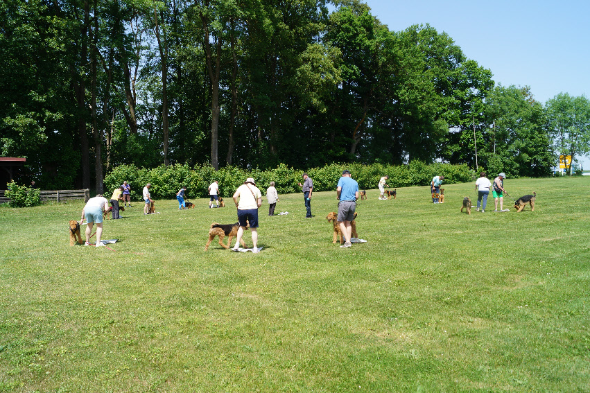 wpa914421a_0f.jpg